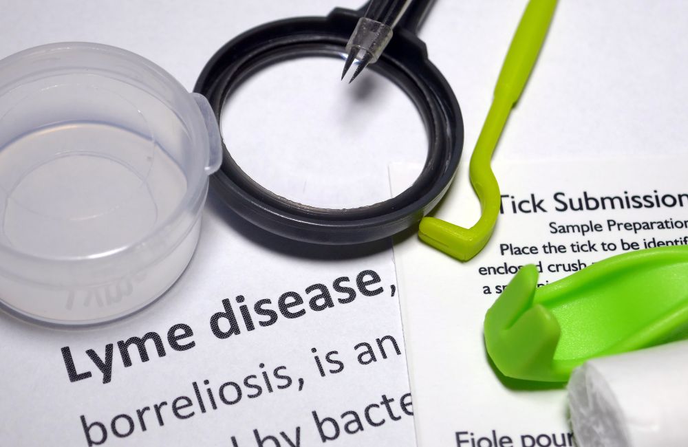 8 Lyme Disease Myths Debunked​