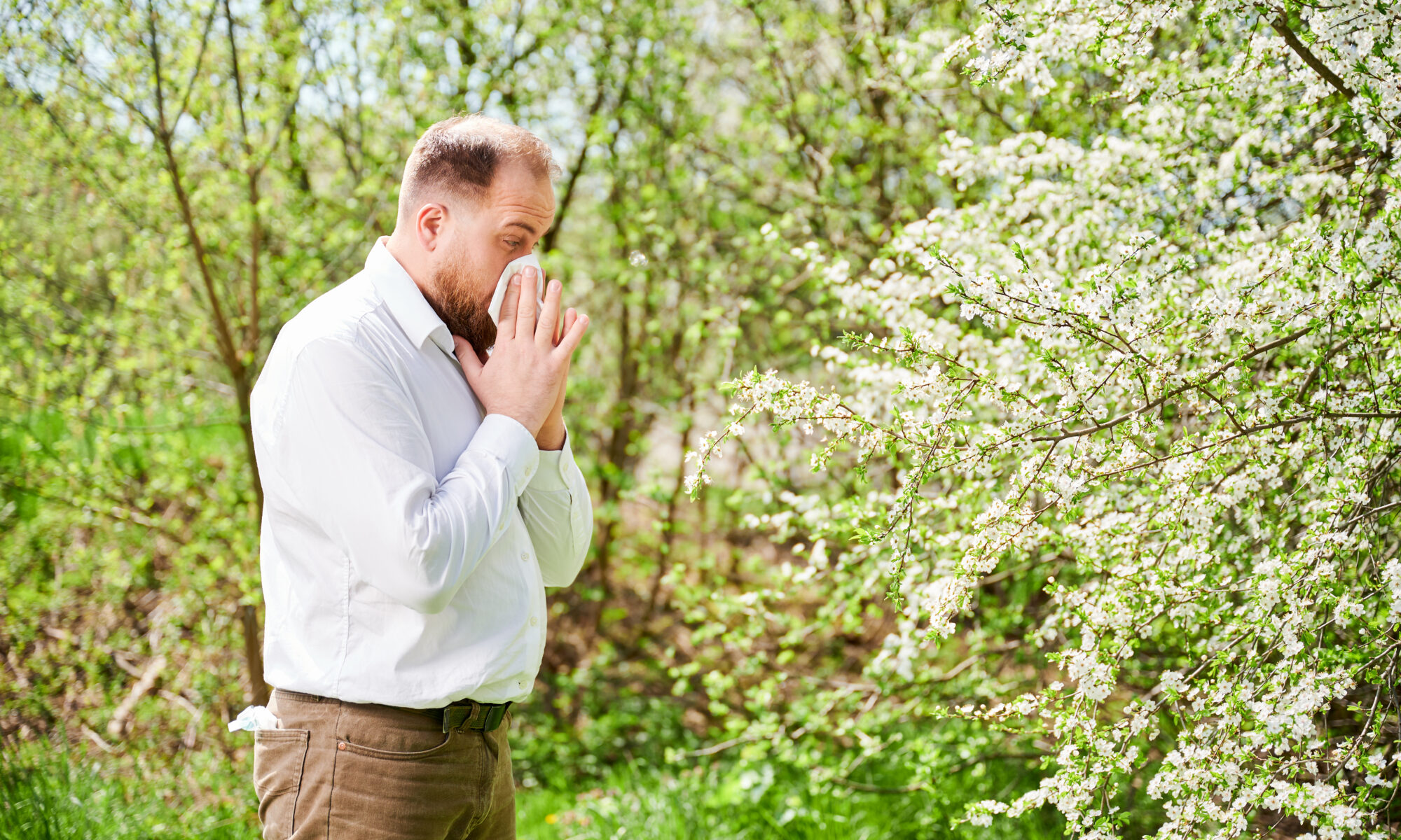 Targeted immunotherapy trumps both OTC and prescription drugs as the best treatment for seasonal allergies